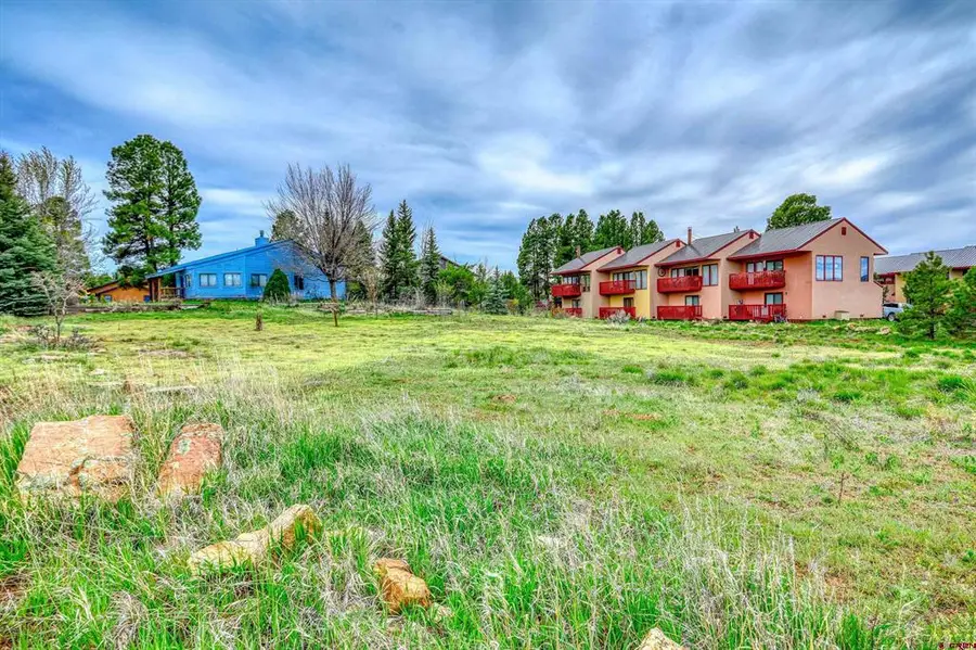 156 Lighthouse Drive, Pagosa Springs, CO 81147 - #3
