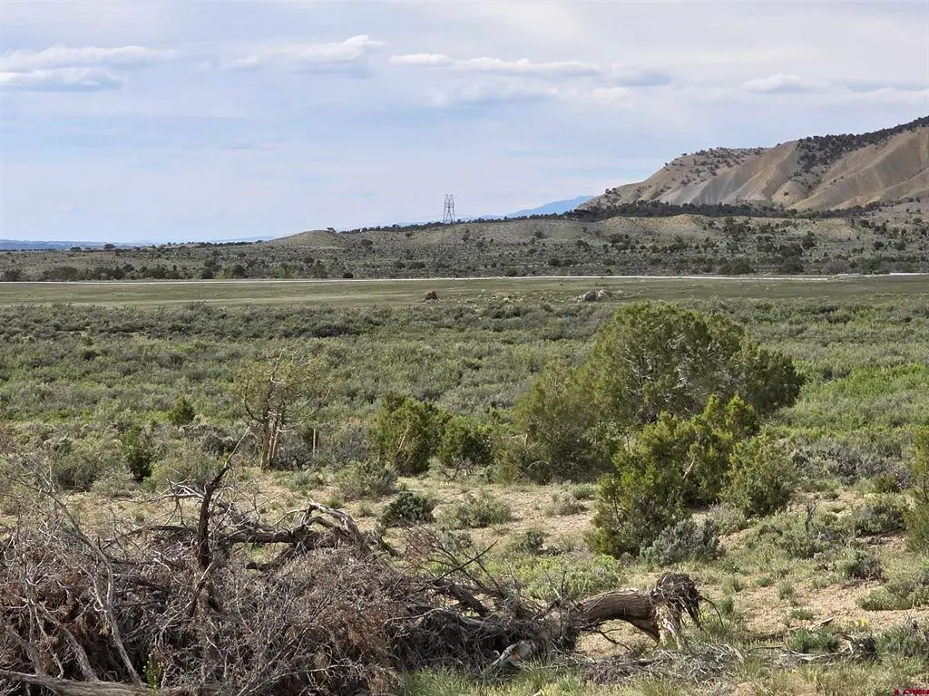 TBD Lot 1 Buckhorn Road, Montrose, CO 81401 - #1