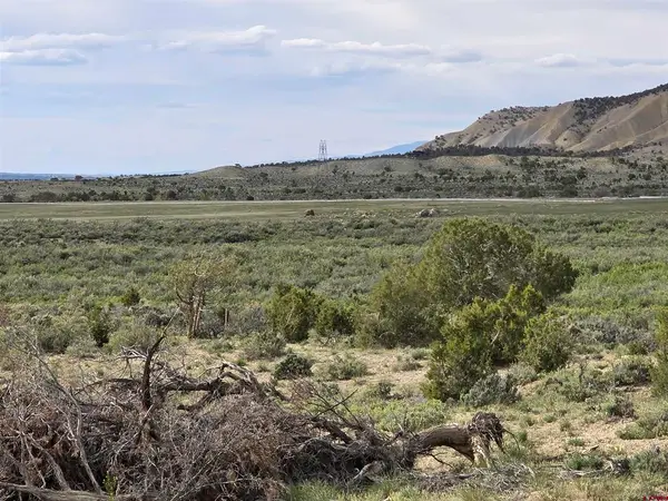 TBD Lot 1 Buckhorn Road, Montrose, CO 81401