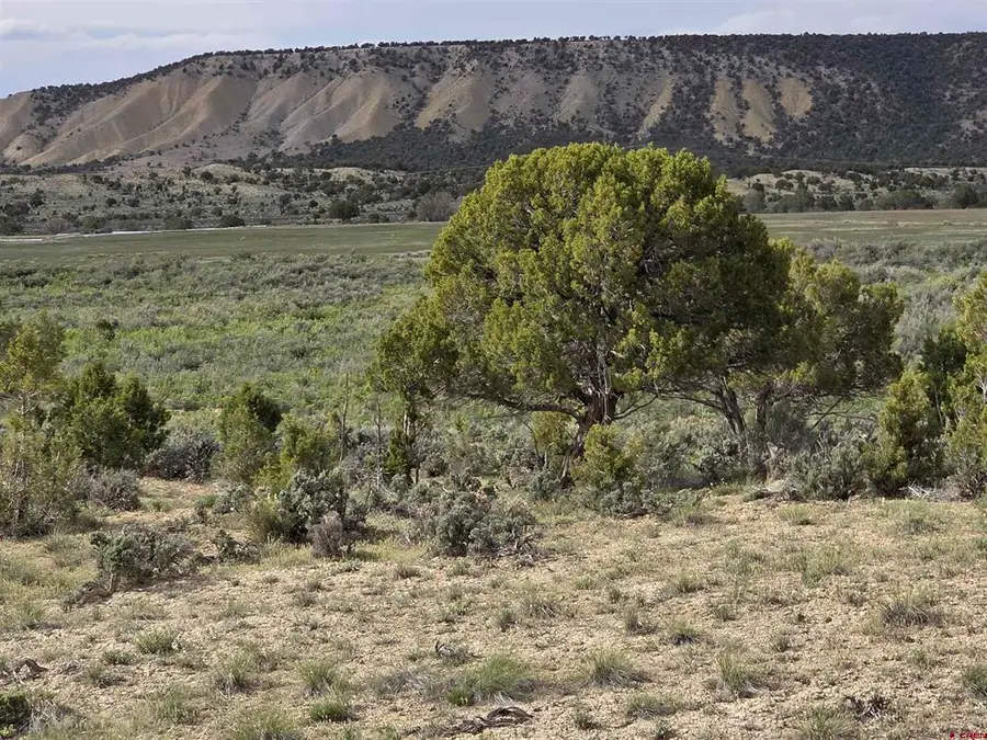 TBD Lot 1 Buckhorn Road, Montrose, CO 81401 - #3