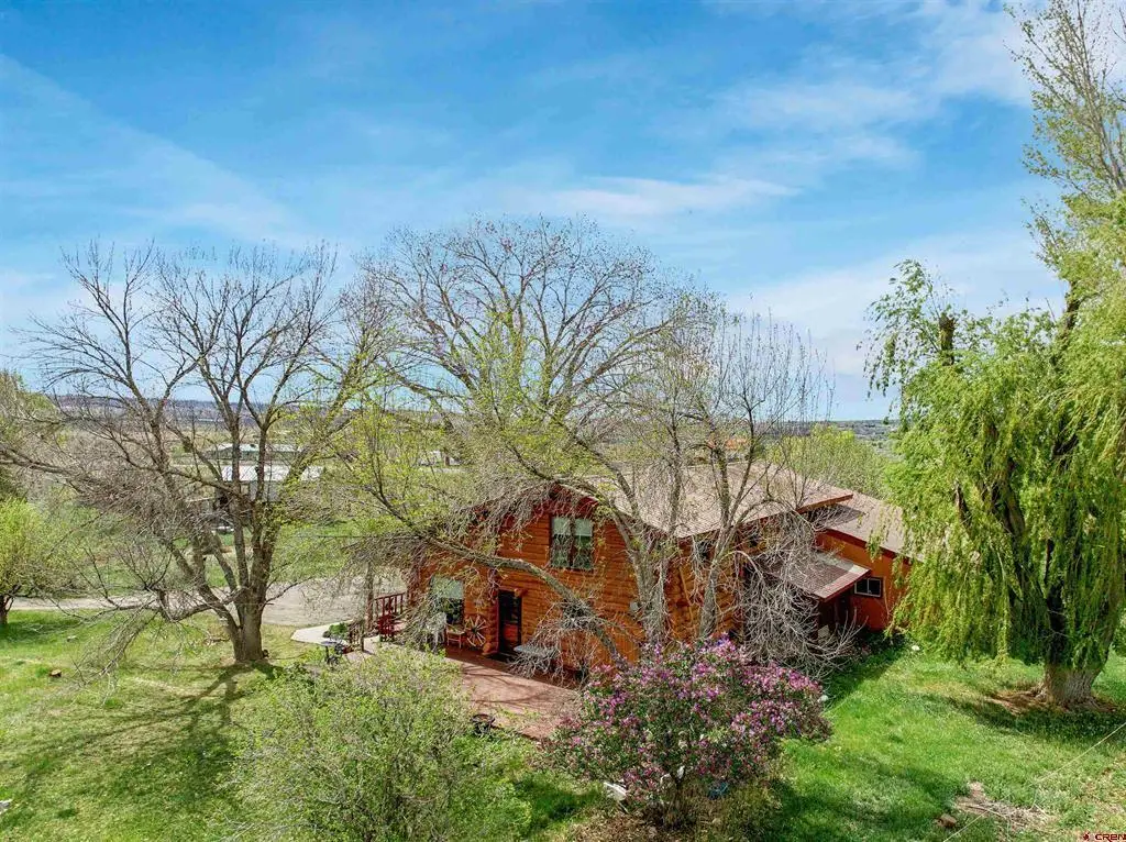 9709 3605 Road, Hotchkiss, CO 81415 - #1
