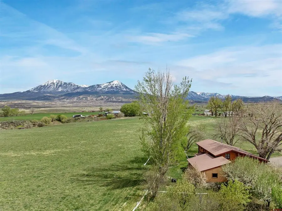 9709 3605 Road, Hotchkiss, CO 81415 - #2