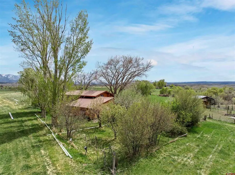 9709 3605 Road, Hotchkiss, CO 81415 - #3
