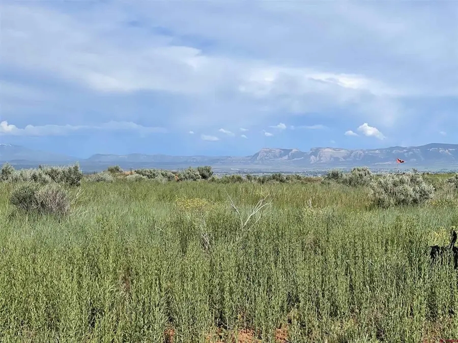 13076 (TBD) Road 17.9, Cortez, CO 81321 - #2