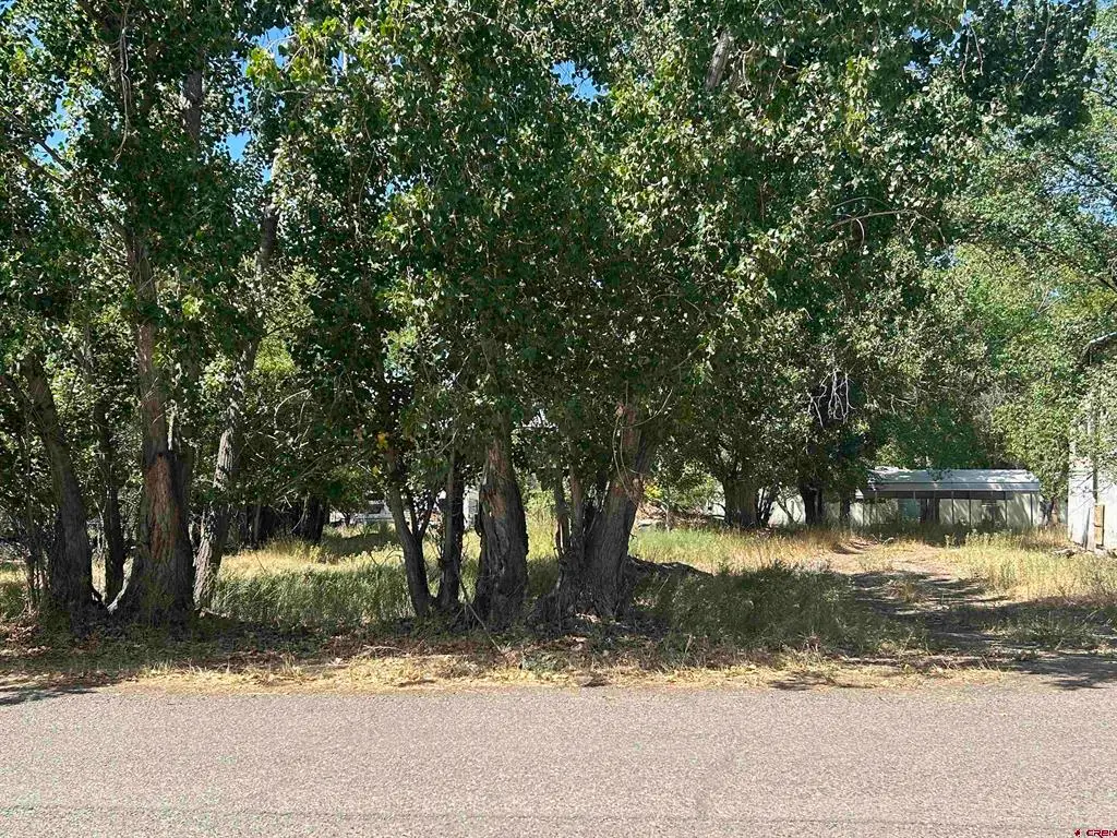 610 Grape Street, Nucla, CO 81424 - #1