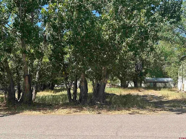 610 Grape Street, Nucla, CO 81424