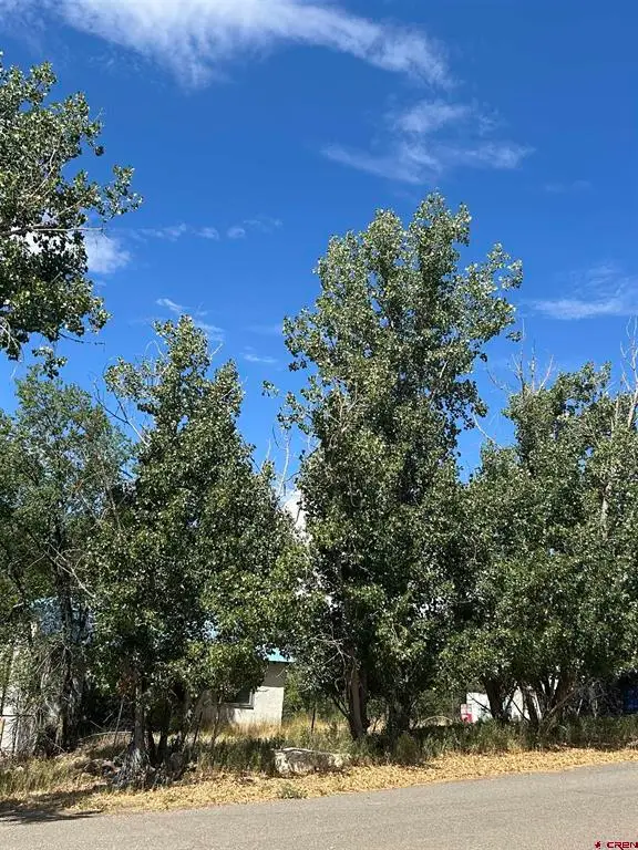610 Grape Street, Nucla, CO 81424 - #2