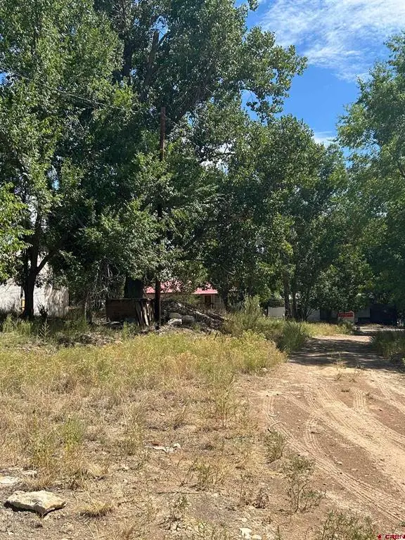 610 Grape Street, Nucla, CO 81424 - #3