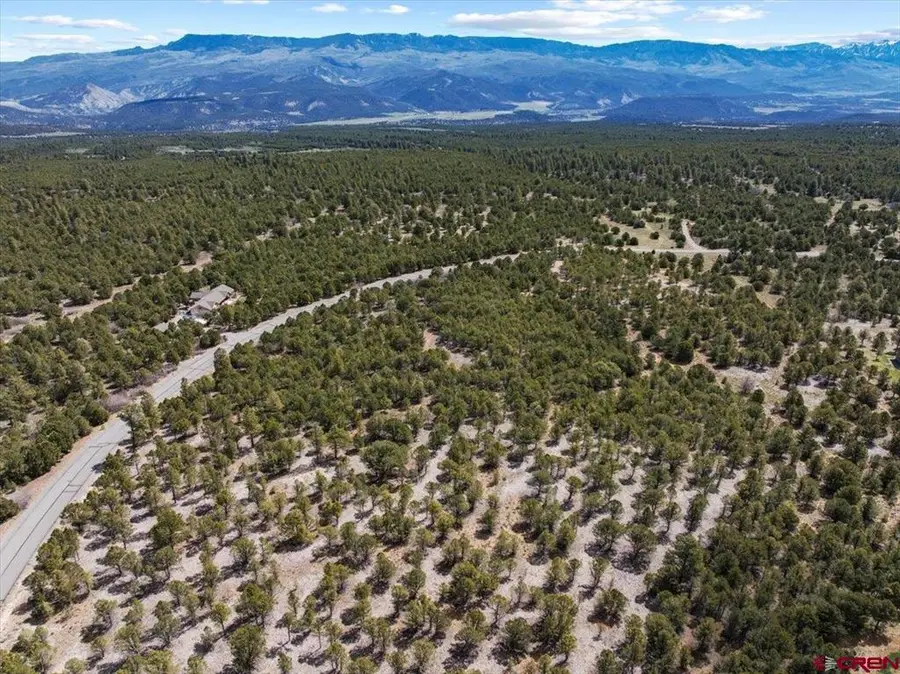 212 Fisher Canyon Drive, Ridgway, CO 81432 - #2
