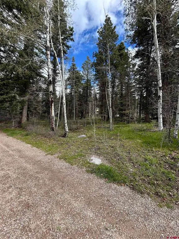 112 Sierra Verde Drive, Durango, CO 81301 - #2