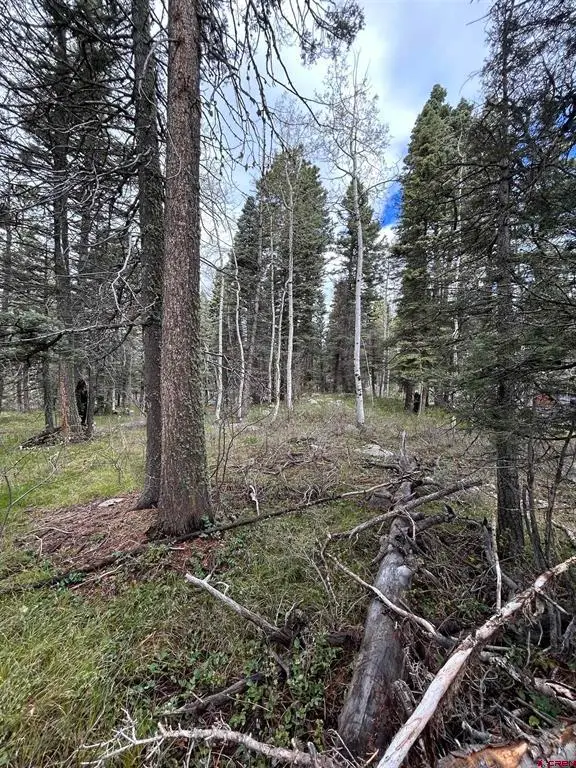 112 Sierra Verde Drive, Durango, CO 81301 - #3