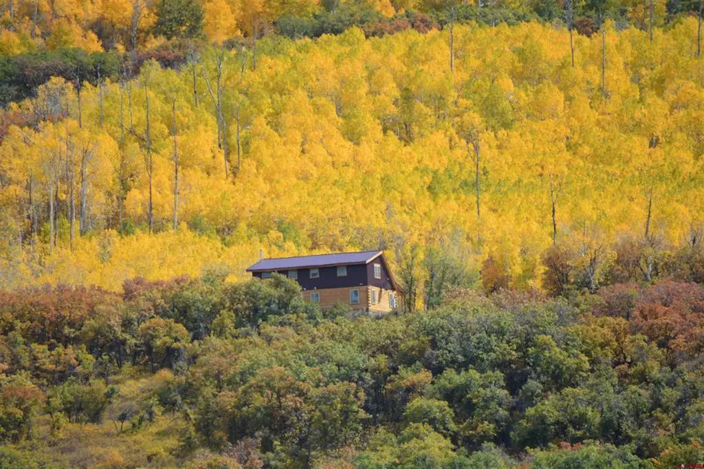 19645 Stoney Creek Road, Hotchkiss, CO 81419 - #1
