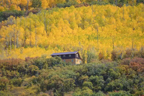 19645 Stoney Creek Road, Hotchkiss, CO 81419