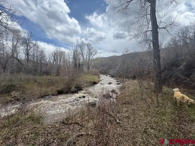 19645 Stoney Creek Road, Hotchkiss, CO 81419 - #3