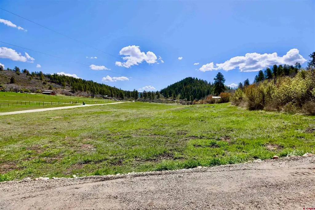 242 Pine Springs Drive, Bayfield, CO 81122 - #1