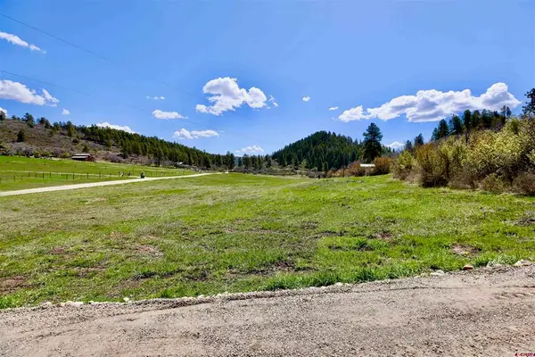 242 Pine Springs Drive, Bayfield, CO 81122
