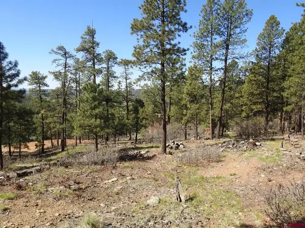1142 Deer Ridge Drive, Bayfield, CO 81122