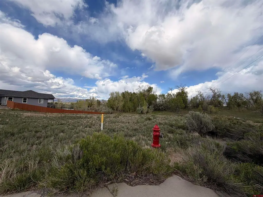 Lot 16 Crestview Drive, Montrose, CO 81403 - #1