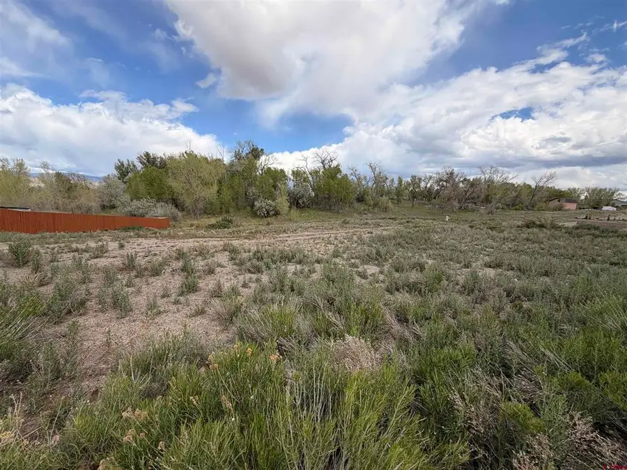 Lot 16 Crestview Drive, Montrose, CO 81403 - #3