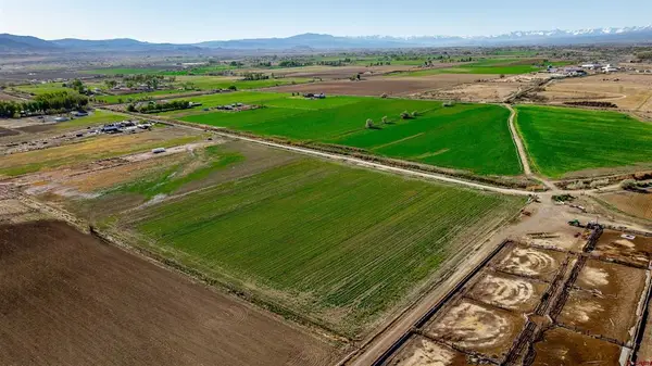 TBD 6000 Road, Olathe, CO 81425