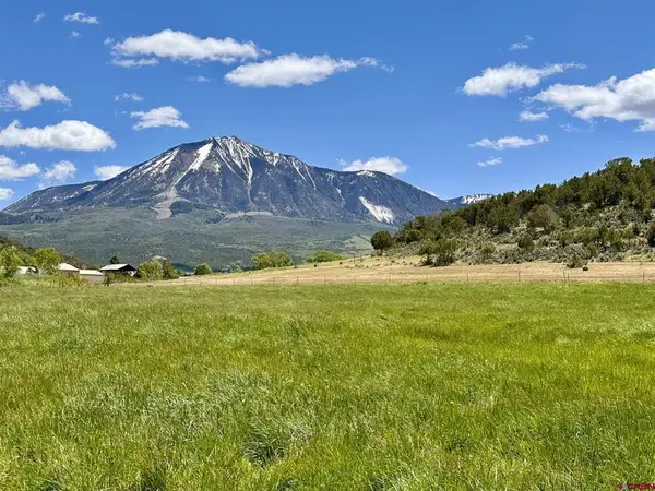 Parcel C - TBD Lamborn Mesa Road, Paonia, CO 81428