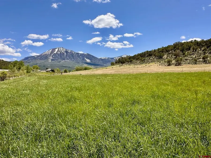 Parcel D - TBD Lamborn Mesa Road, Paonia, CO 81428 - #3