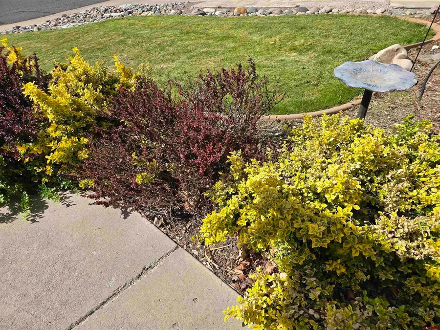 3733 Buffalo Lane, Montrose, CO 81403 - #2