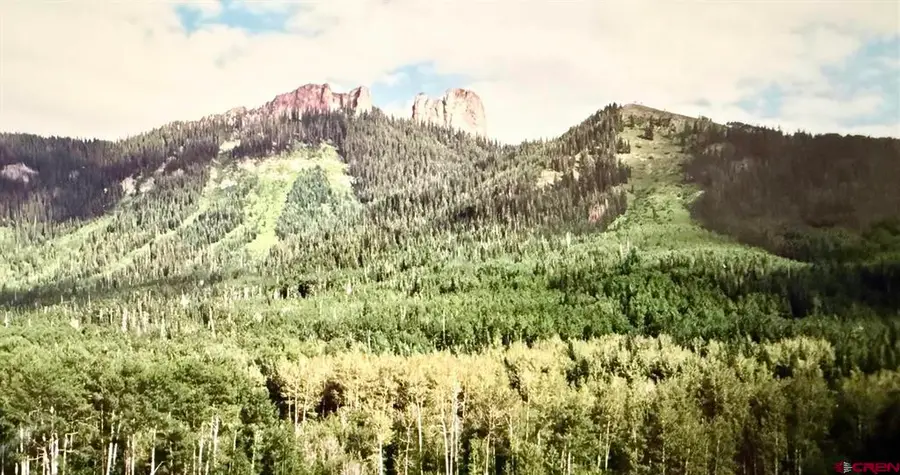Tbd Forest Service Road 814, Sapinero, CO 81434 - #2