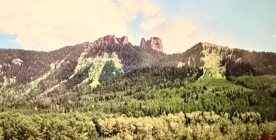 Tbd Forest Service Road 814, Sapinero, CO 81434 - #3