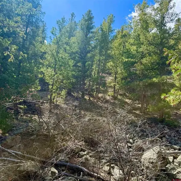 tdb Lochleven Lane, Almont, CO 81210