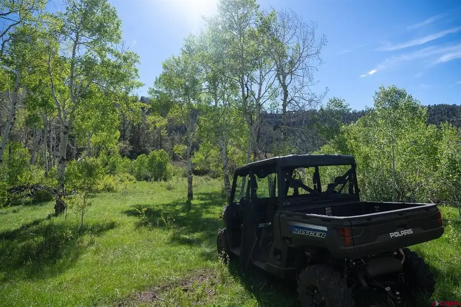 TBD M44, Smr Tract 13-5, Placerville, CO 81430 - #2