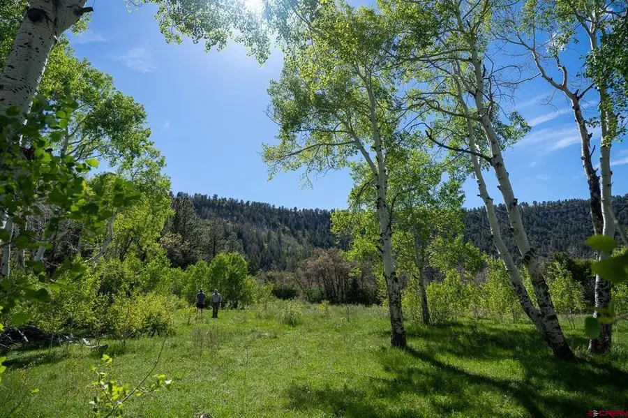 TBD M44, Smr Tract 13-5, Placerville, CO 81430 - #3