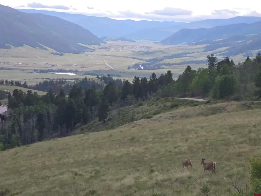 TBD County Road 504 Bachelor Loop, Creede, CO 81130 - #3