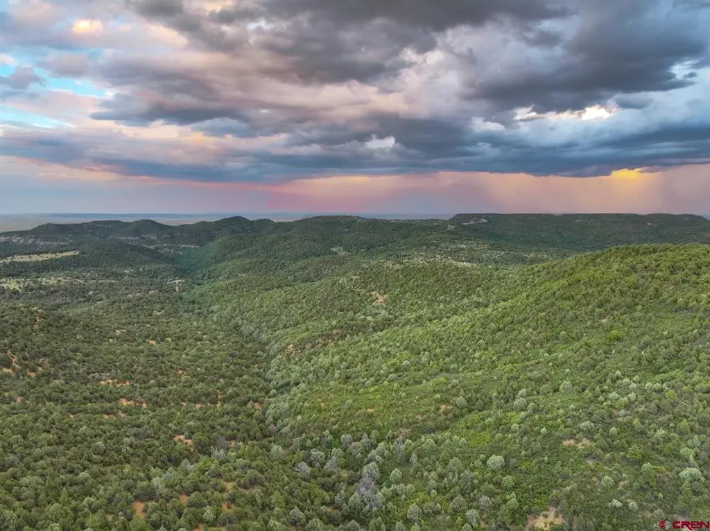 000 County Road 44, Trinidad, CO 81082 - #1