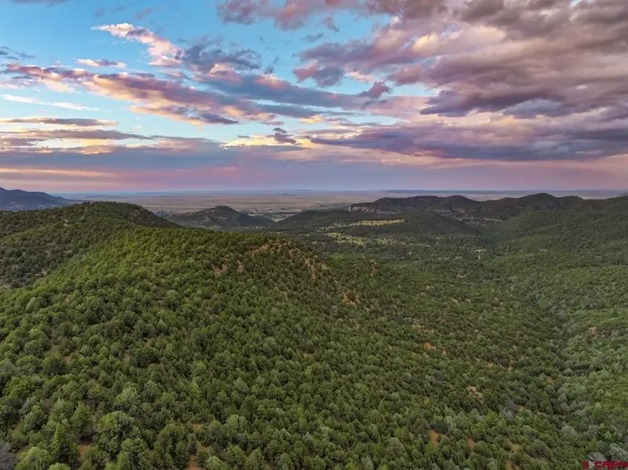 000 County Road 44, Trinidad, CO 81082 - #3