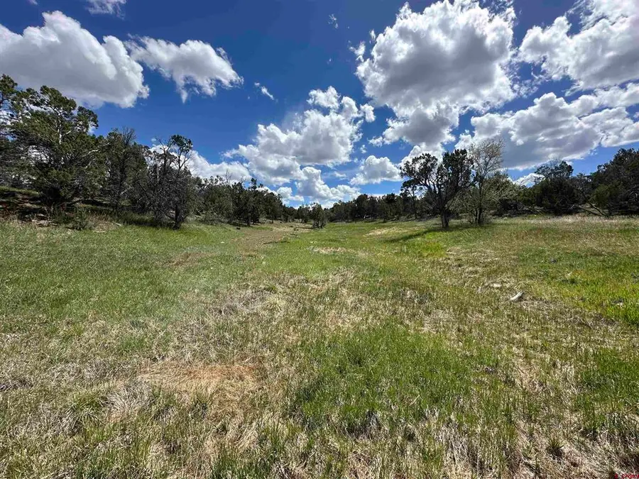 37838 Polson Road, Crawford, CO 81415 - #3