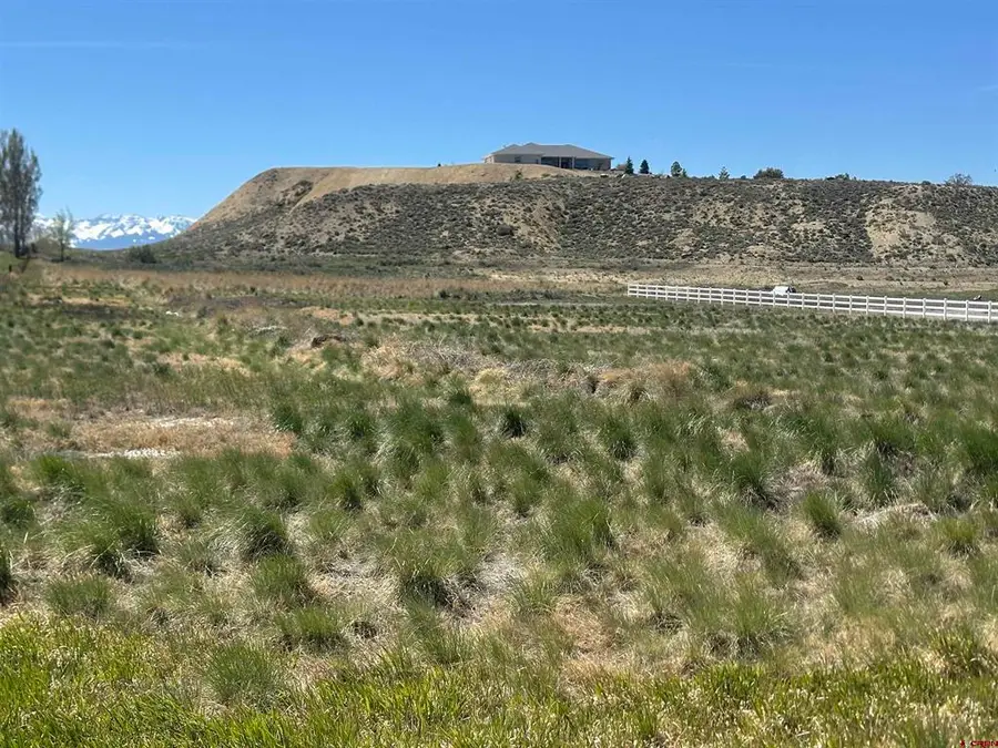 TBD E Oak Grove Road, Montrose, CO 81401 - #2