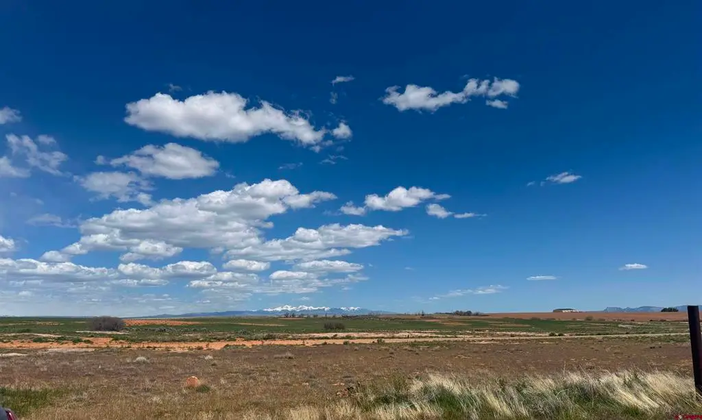 TBD Road 19, Yellow Jacket, CO 81335 - #1