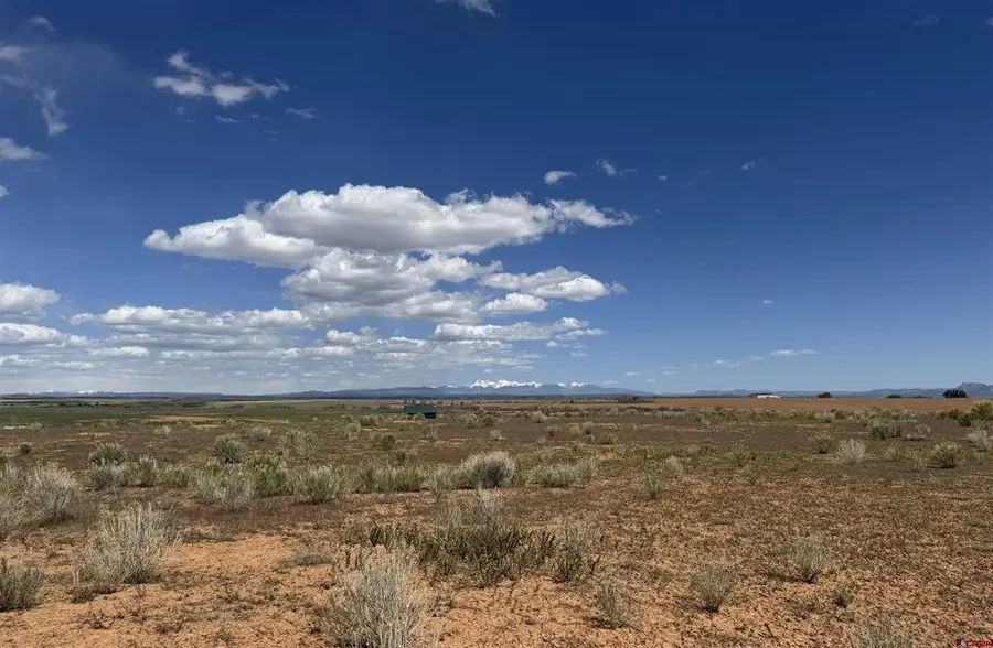 TBD Road 19, Yellow Jacket, CO 81335 - #3
