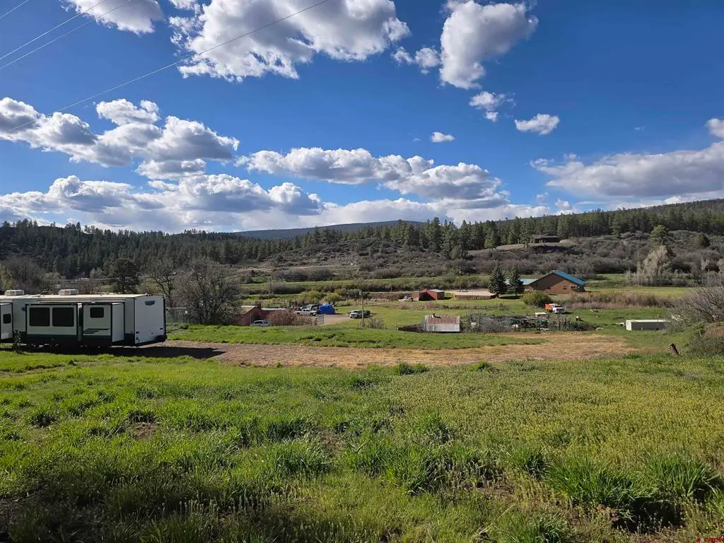 321 River Run Drive, Pagosa Springs, CO 81147 - #1