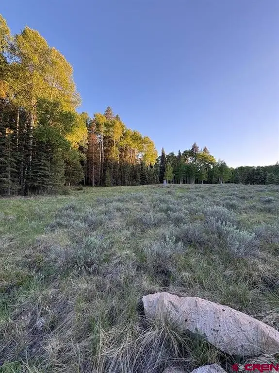 2150 Spruce Road, Cimarron, CO 81220