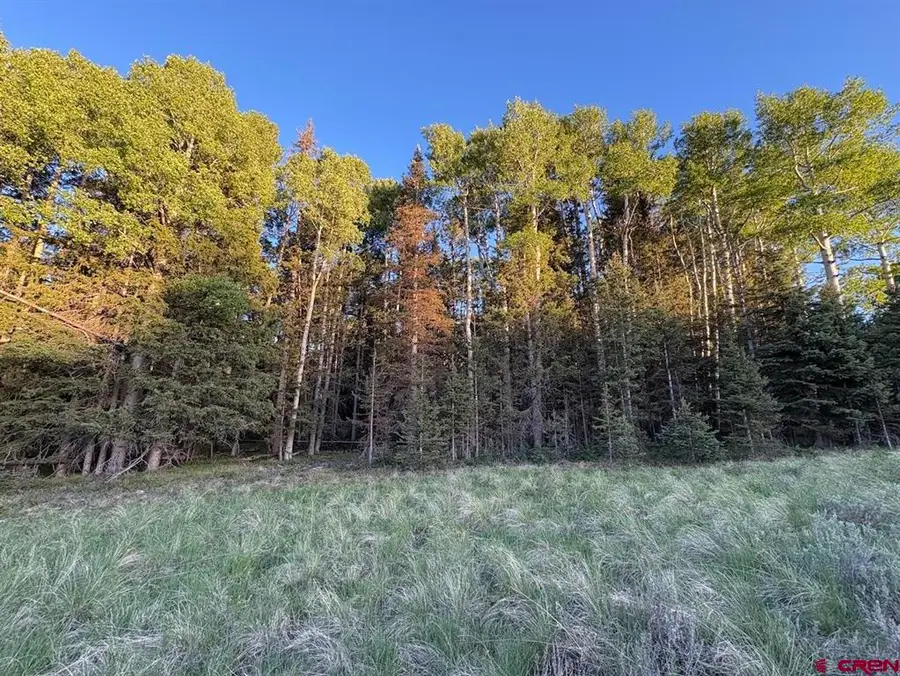 2150 Spruce Road, Cimarron, CO 81220 - #3