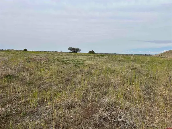 TBD Hwy 184, Lewis, CO 81327