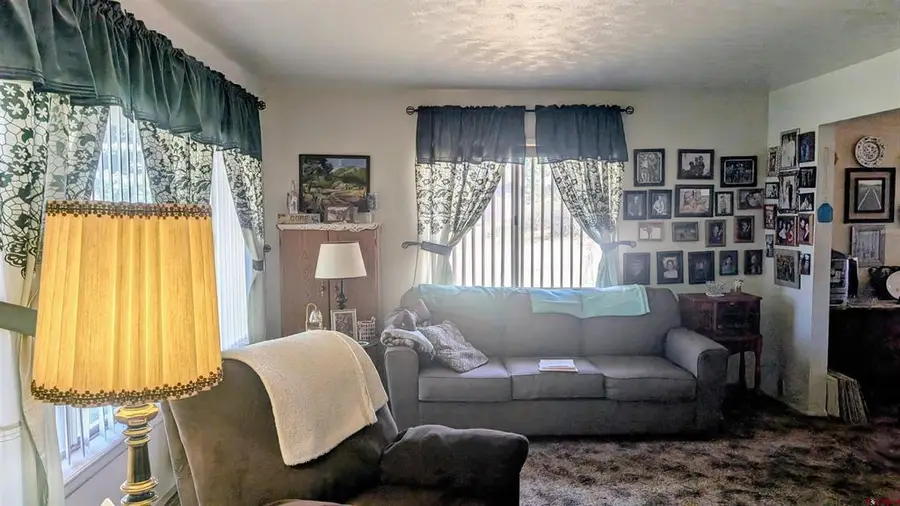 223 W 8th Street, Dove Creek, CO 81324 - #3