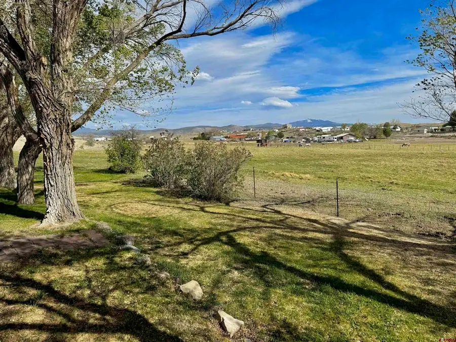 67743 Lasalle Road, Montrose, CO 81401 - #3