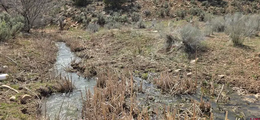5846 St Hwy 140, Hesperus, CO 81326 - #2
