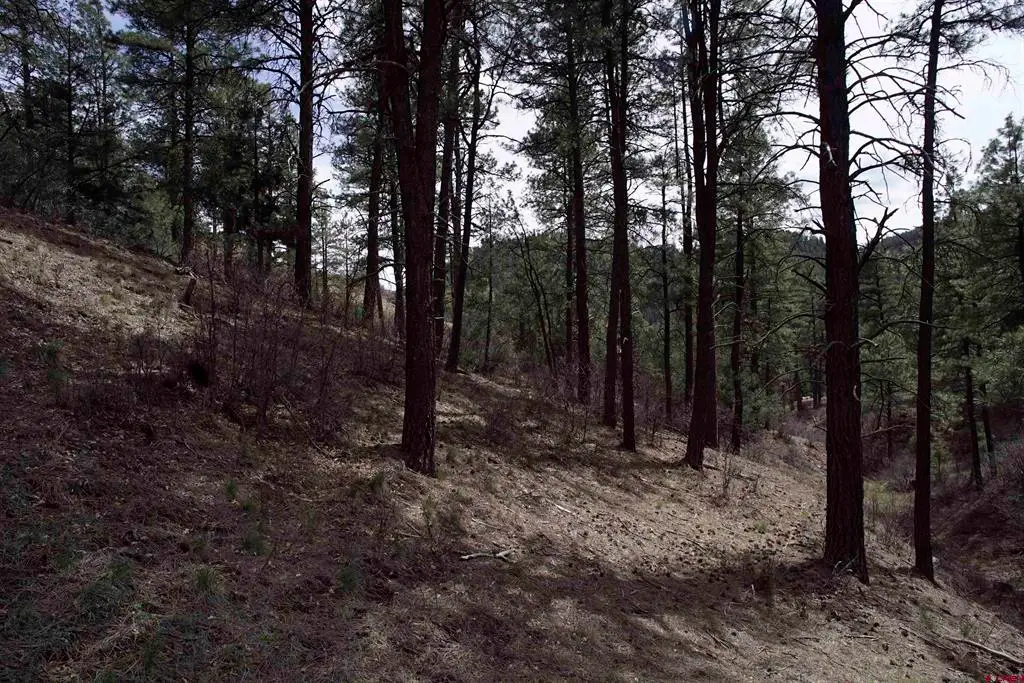 91 Hideaway Court, Pagosa Springs, CO 81147 - #1