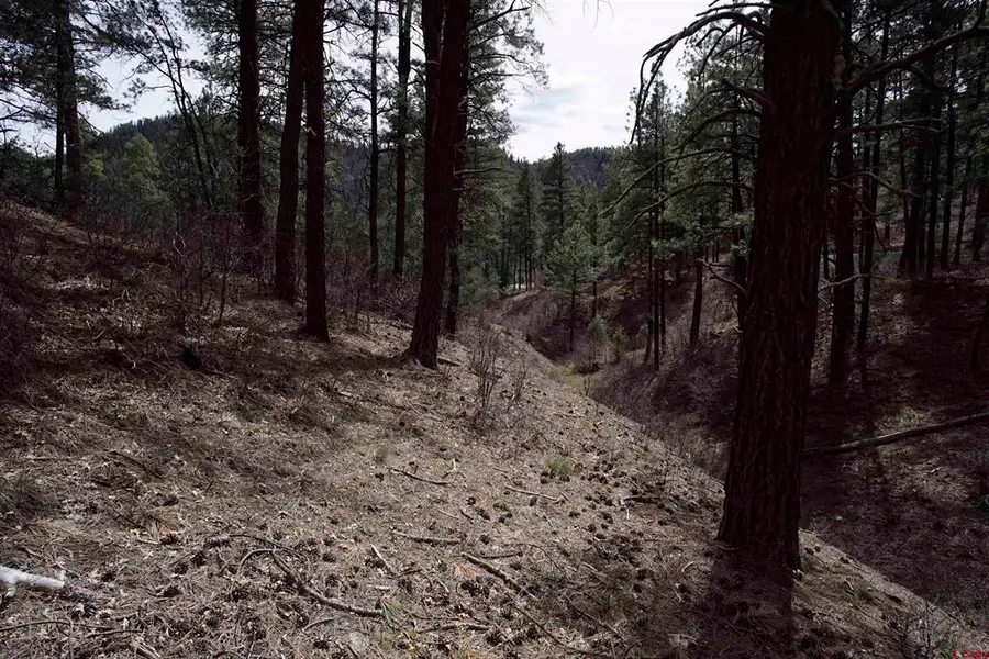 91 Hideaway Court, Pagosa Springs, CO 81147 - #2