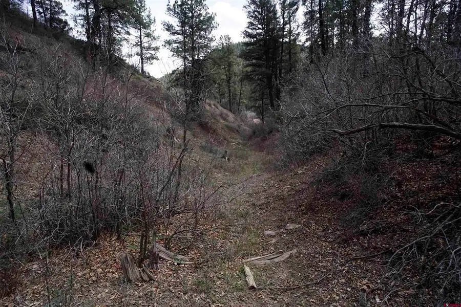 91 Hideaway Court, Pagosa Springs, CO 81147 - #3