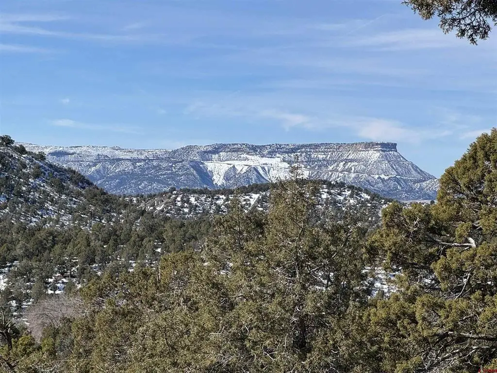 TBD Road 41.4, Mancos, CO 81328 - #1